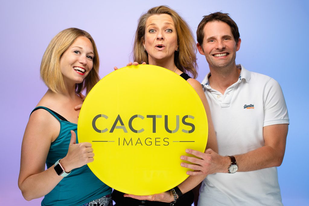 10 Years of Cactus Images!